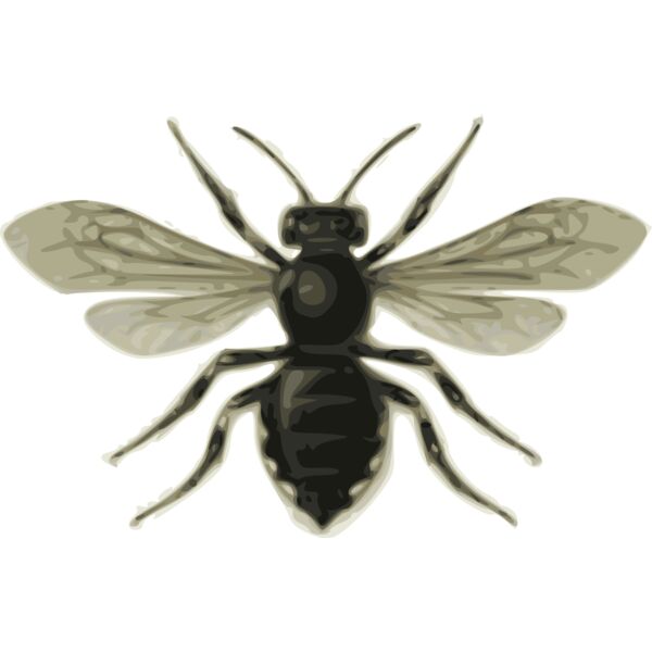 jbruce bee  M lecle ponctu e  Thumbnail