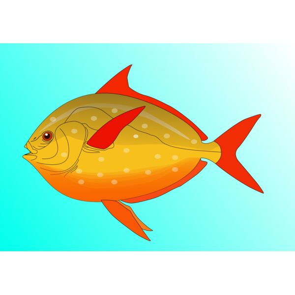 Machovka Fish Thumbnail