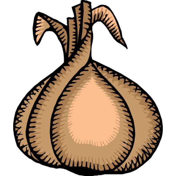 johnny automatic onion Thumbnail