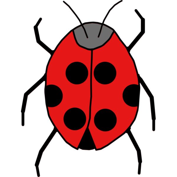 ladybug  3  Thumbnail