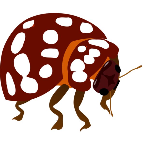 valessiobrito Bug Thumbnail