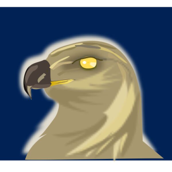 hawk  2  Thumbnail