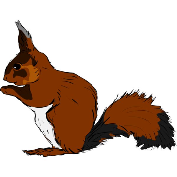 1293995965  2  Thumbnail