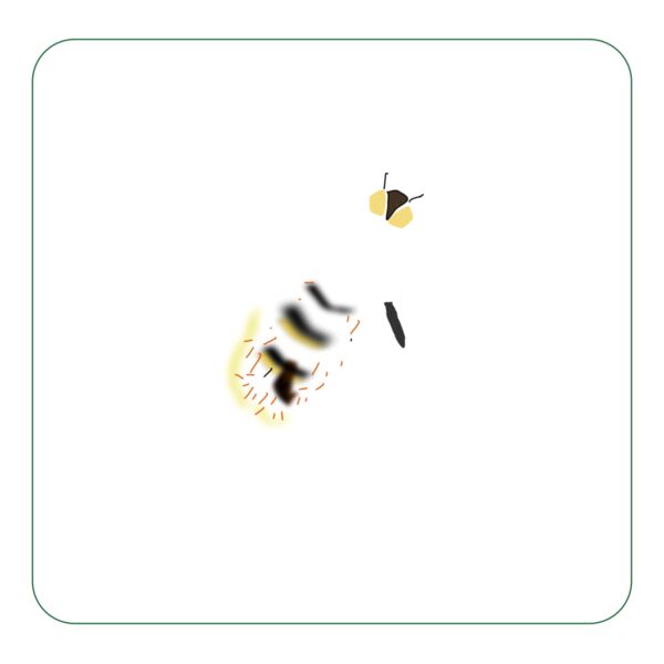 tomas arad bee Thumbnail
