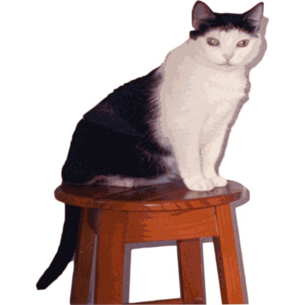 Juma Marrua Thumbnail