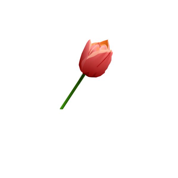 Tulip Thumbnail