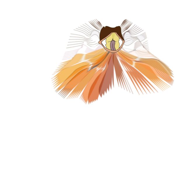 worms x Frill necked lizard  dragon  Thumbnail