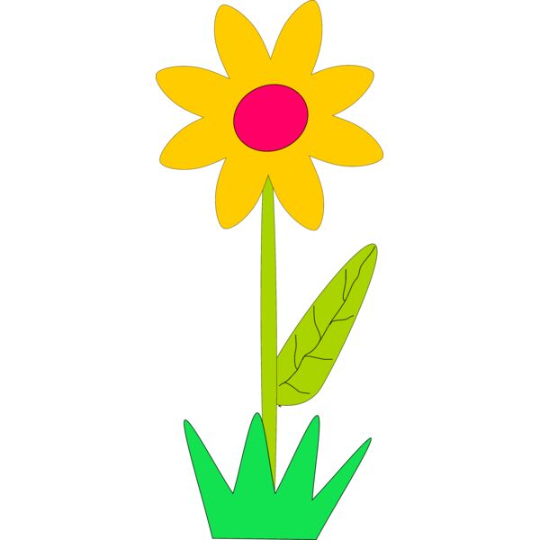 Machovka flower Thumbnail