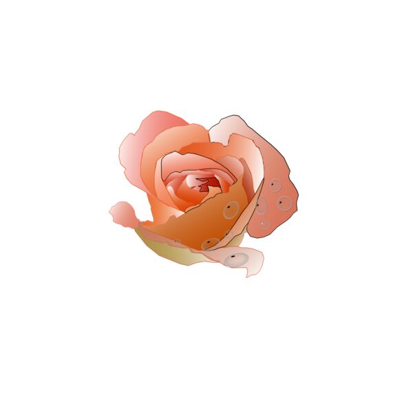 Rose  2  Thumbnail