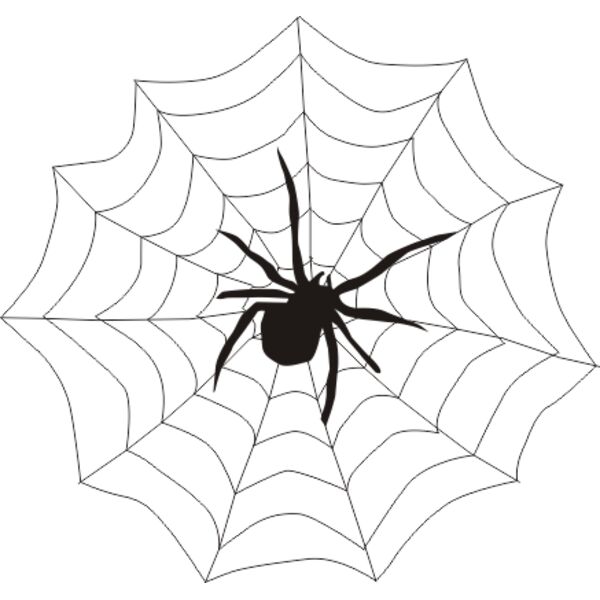 spider web Thumbnail