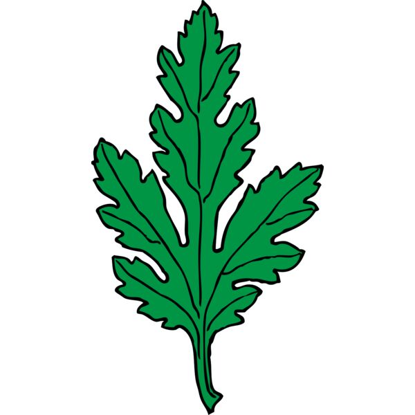 johnny automatic chrysanthemum leaf Thumbnail