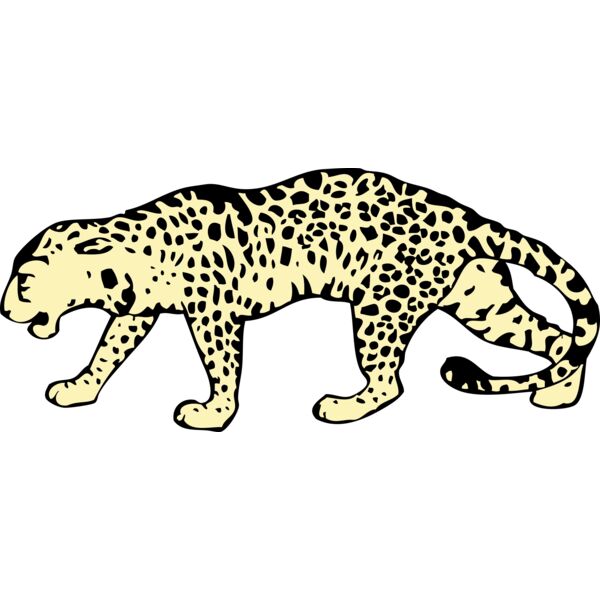 johnny automatic leopard Thumbnail