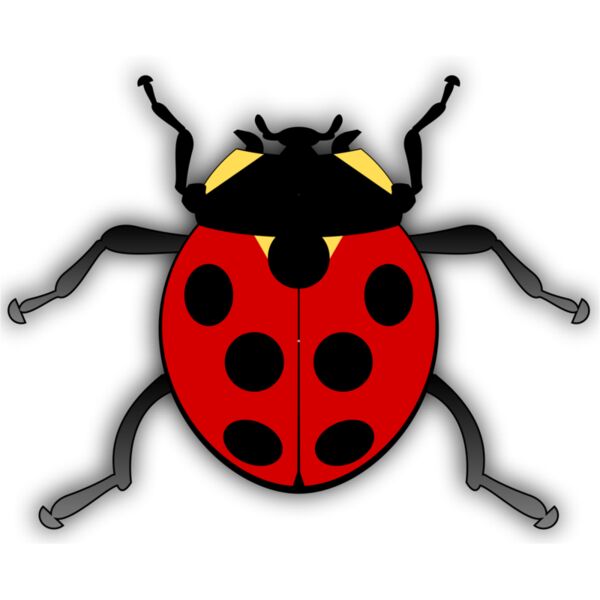 jilagan Ladybug Thumbnail
