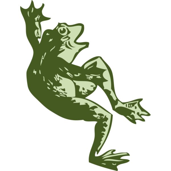 johnny automatic dancing frog Thumbnail