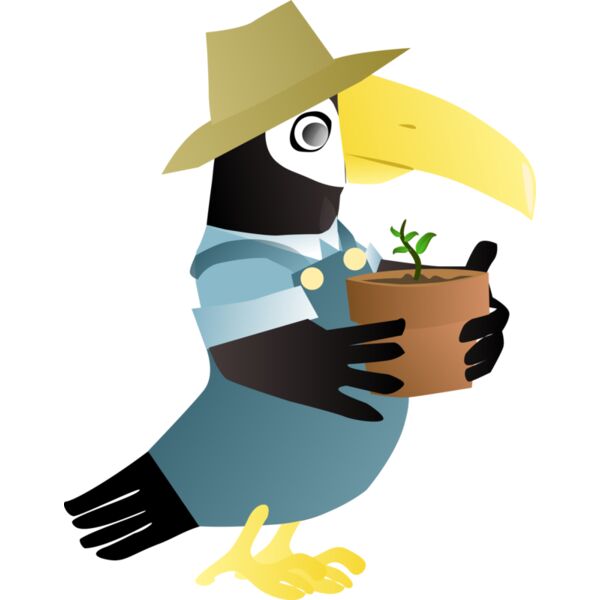 toucan jardin Thumbnail