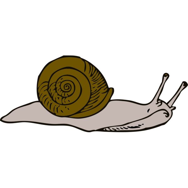 johnny automatic snail 2 Thumbnail