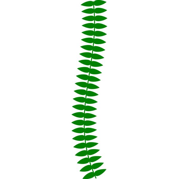 vine Thumbnail