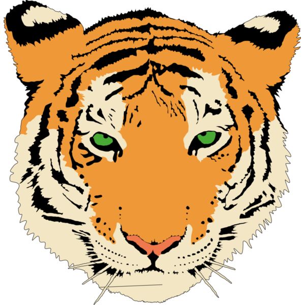 Anonymous Tiger  2  Thumbnail