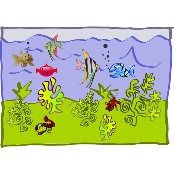 Aquarium  2  Thumbnail