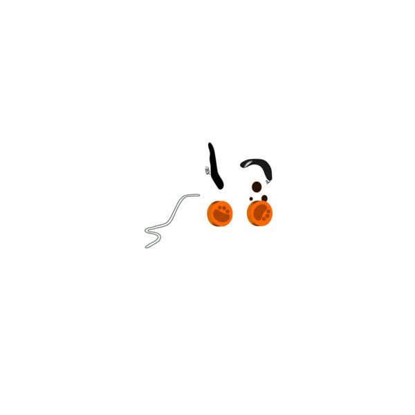 toy dog 580px Thumbnail