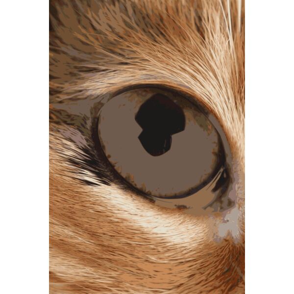 macskaszem2 Thumbnail