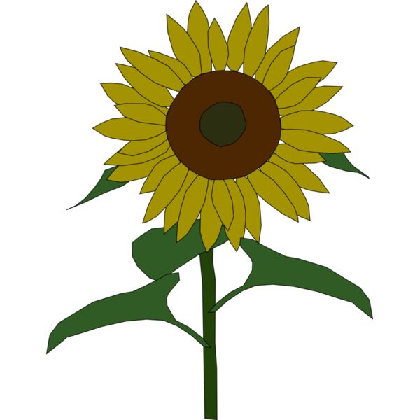 Machovka sunflower Thumbnail