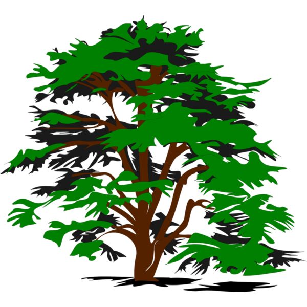 bobocal simple vector tree  2  Thumbnail