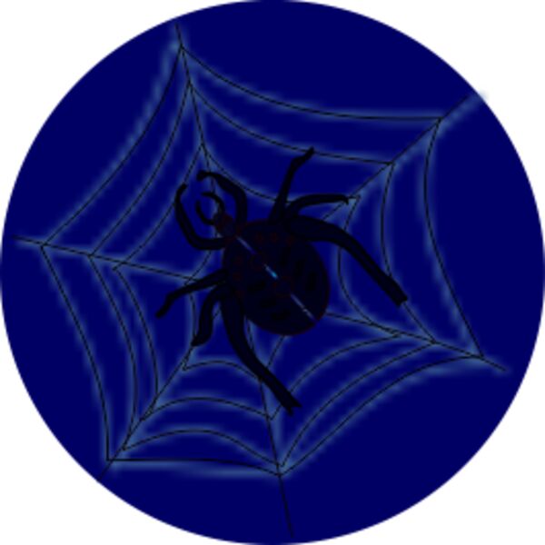 spider on web Thumbnail