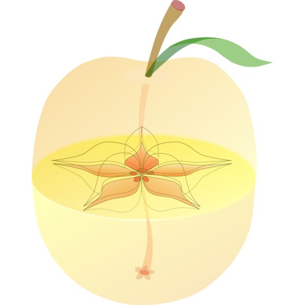 mediemil AppleAnatomy Thumbnail