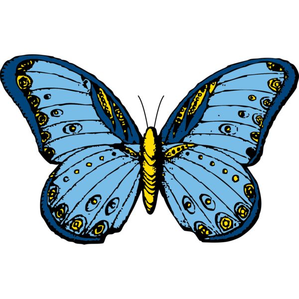 johnny automatic butterfly 1 Thumbnail
