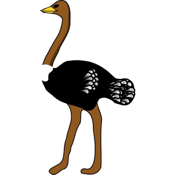 rpzboray ostrich Thumbnail