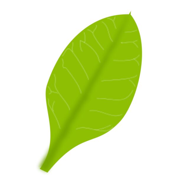 leaf daun Thumbnail