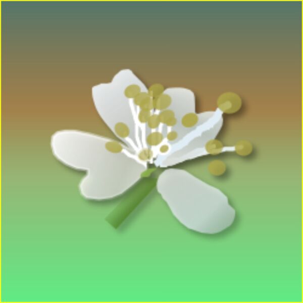 flower Thumbnail