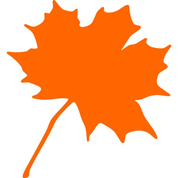Maple leaf Thumbnail