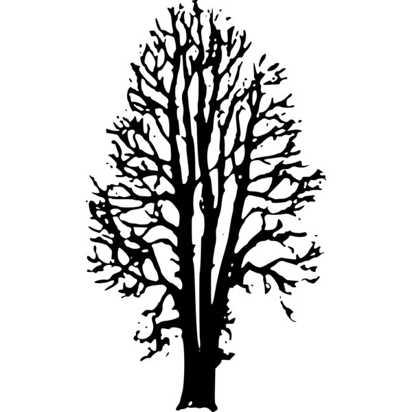 beechtree mono Thumbnail