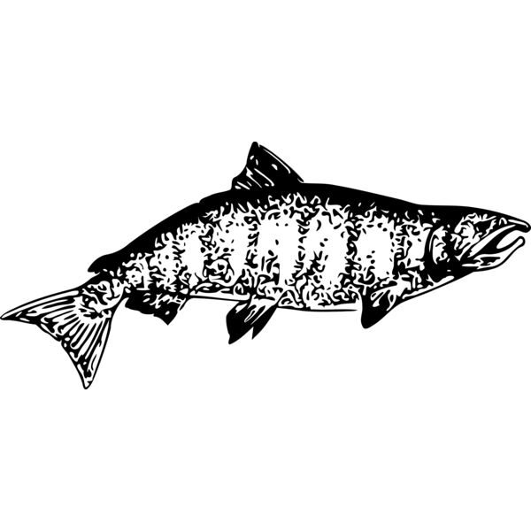 ryanlerch Chinook Salmon Thumbnail