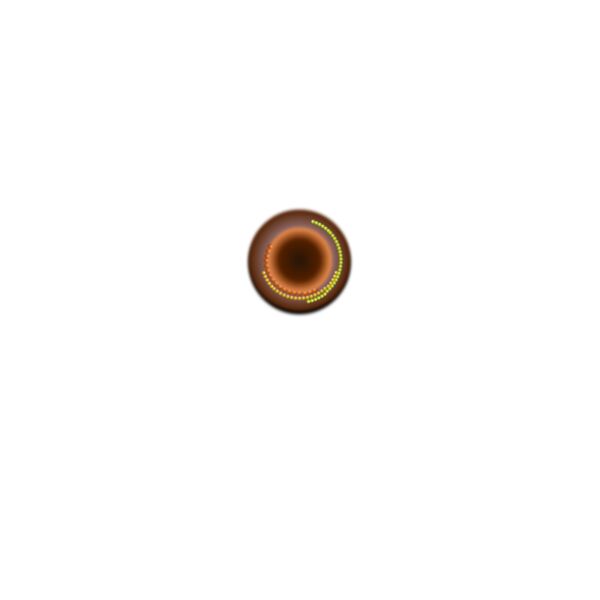 nature sunflower Thumbnail