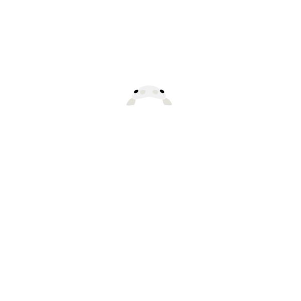 LadybugII Thumbnail