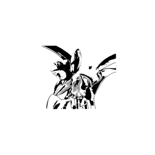 orquidea Thumbnail