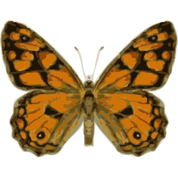 johnny automatic butterfly 2 Thumbnail