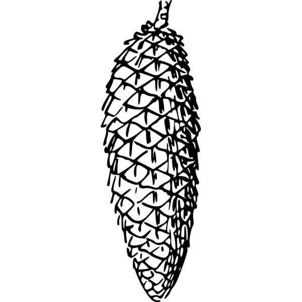 warszawianka Cone 1 Thumbnail