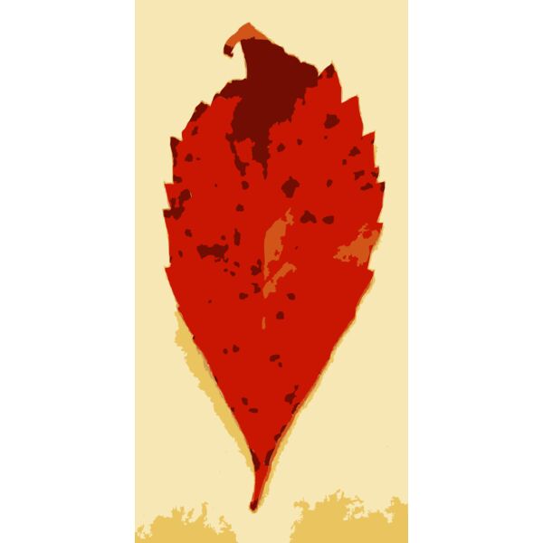 Various Missouri tree leaves 1 Thumbnail