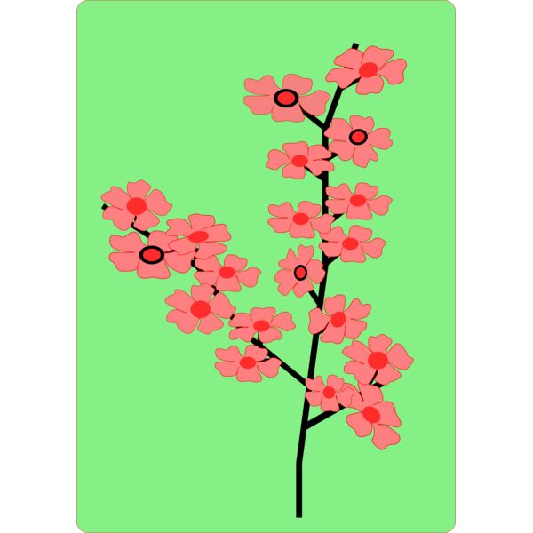 sakura Thumbnail