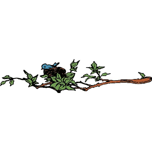 birdsnest  2  Thumbnail