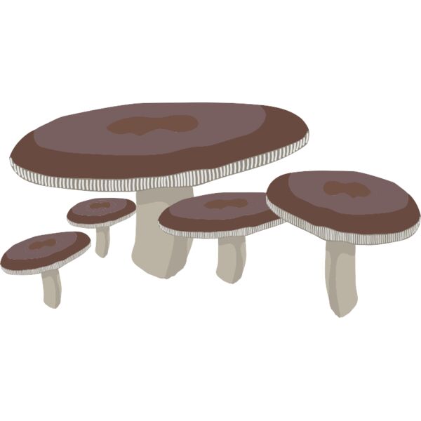 Mushrooms1 Thumbnail