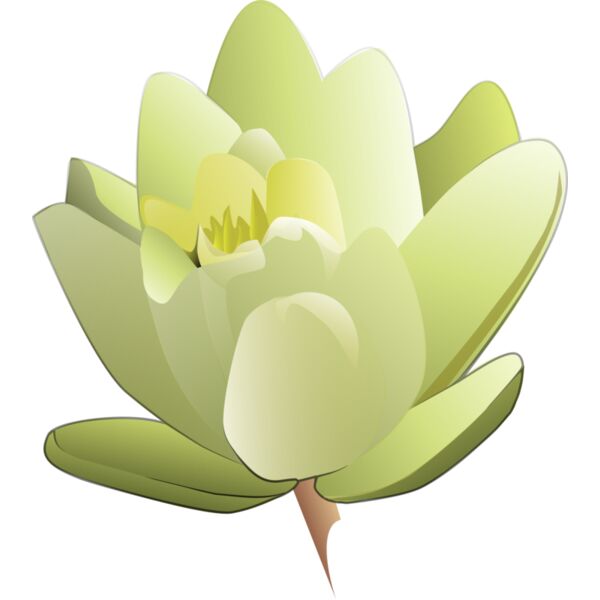 leland mcinnes Water Lily Thumbnail