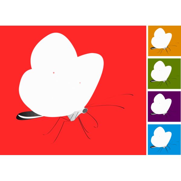 colourful butterflies Thumbnail