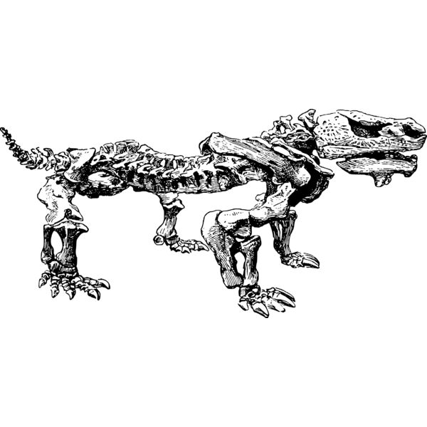 pareiasaurus Thumbnail