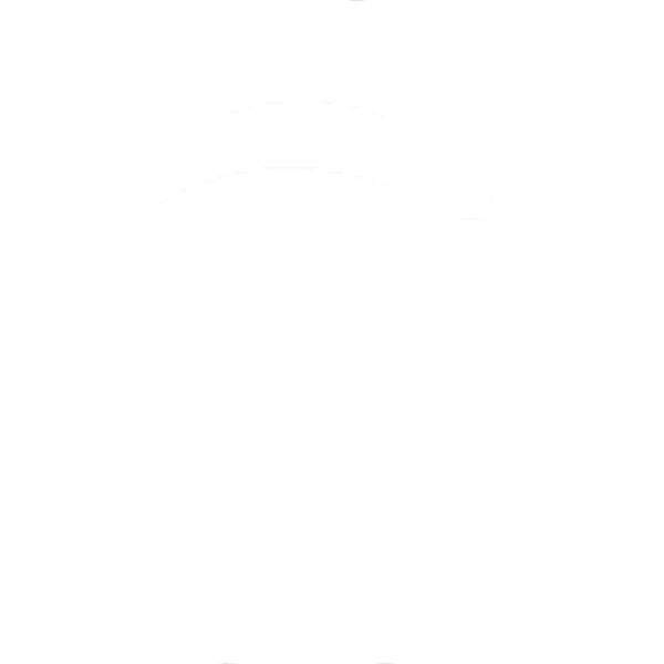 santa penguin Thumbnail