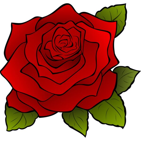 1315549838  2  Thumbnail